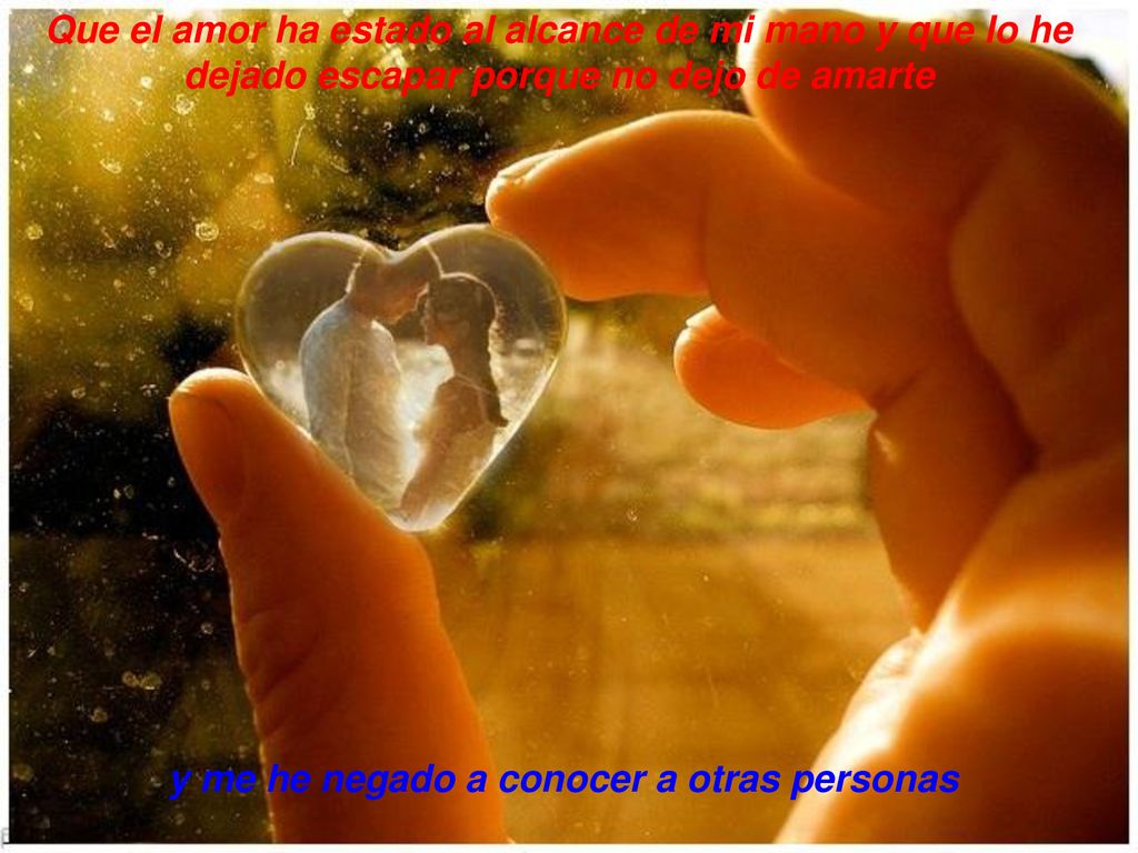 Que el amor ha estado al alcance de mi mano y que lo he dejado escapar porque no dejo de amarte
