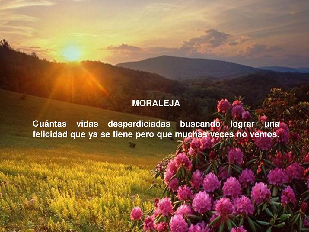 MORALEJA Cuántas vidas desperdiciadas buscando lograr una felicidad que ya se tiene pero que muchas veces no vemos.