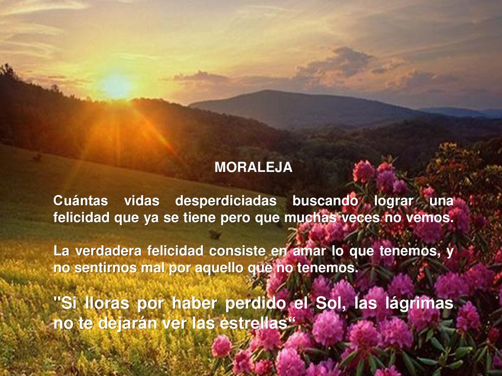 MORALEJA Cuántas vidas desperdiciadas buscando lograr una felicidad que ya se tiene pero que muchas veces no vemos.
