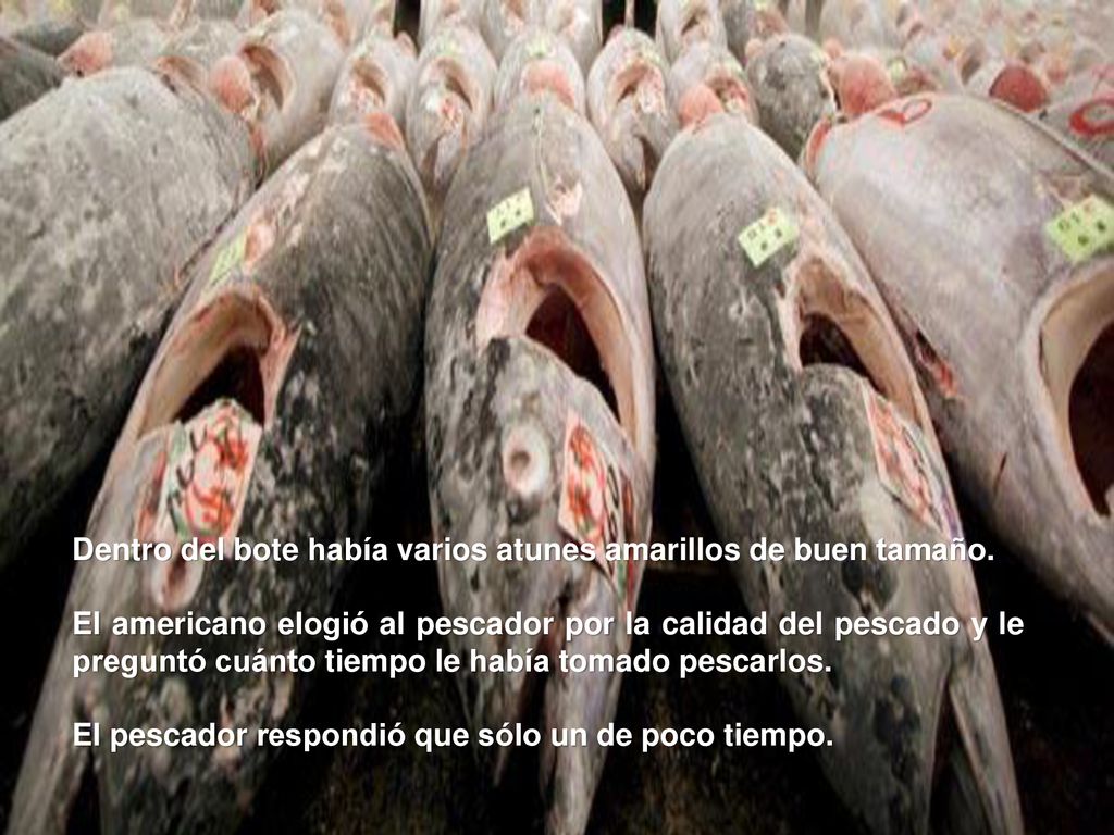 Dentro del bote había varios atunes amarillos de buen tamaño.