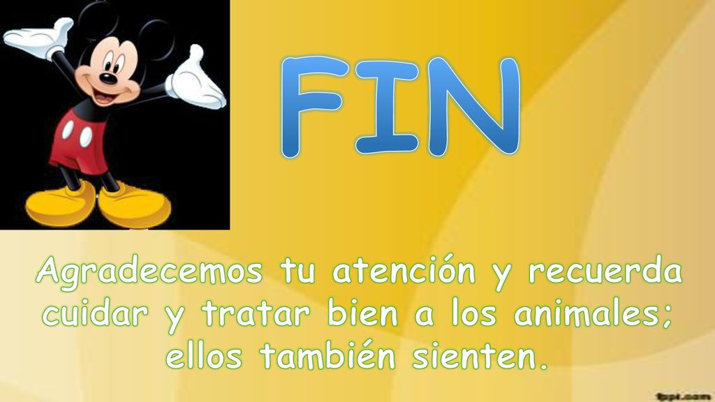 FIN Agradecemos tu atención y recuerda cuidar y tratar bien a los animales; ellos también sienten.