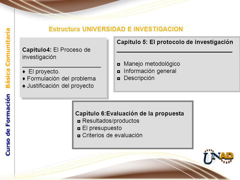 Estructura UNIVERSIDAD E INVESTIGACION