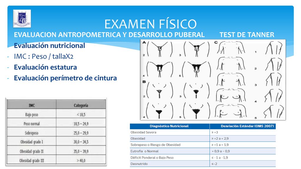 EXAMEN FÍSICO EVALUACION ANTROPOMETRICA Y DESARROLLO PUBERAL TEST DE TANNER. Evaluación nutricional.