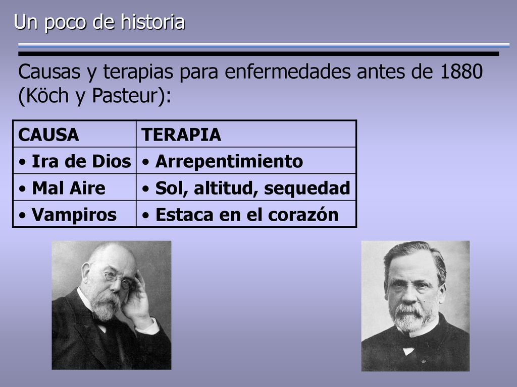 Causas y terapias para enfermedades antes de 1880 (Köch y Pasteur):