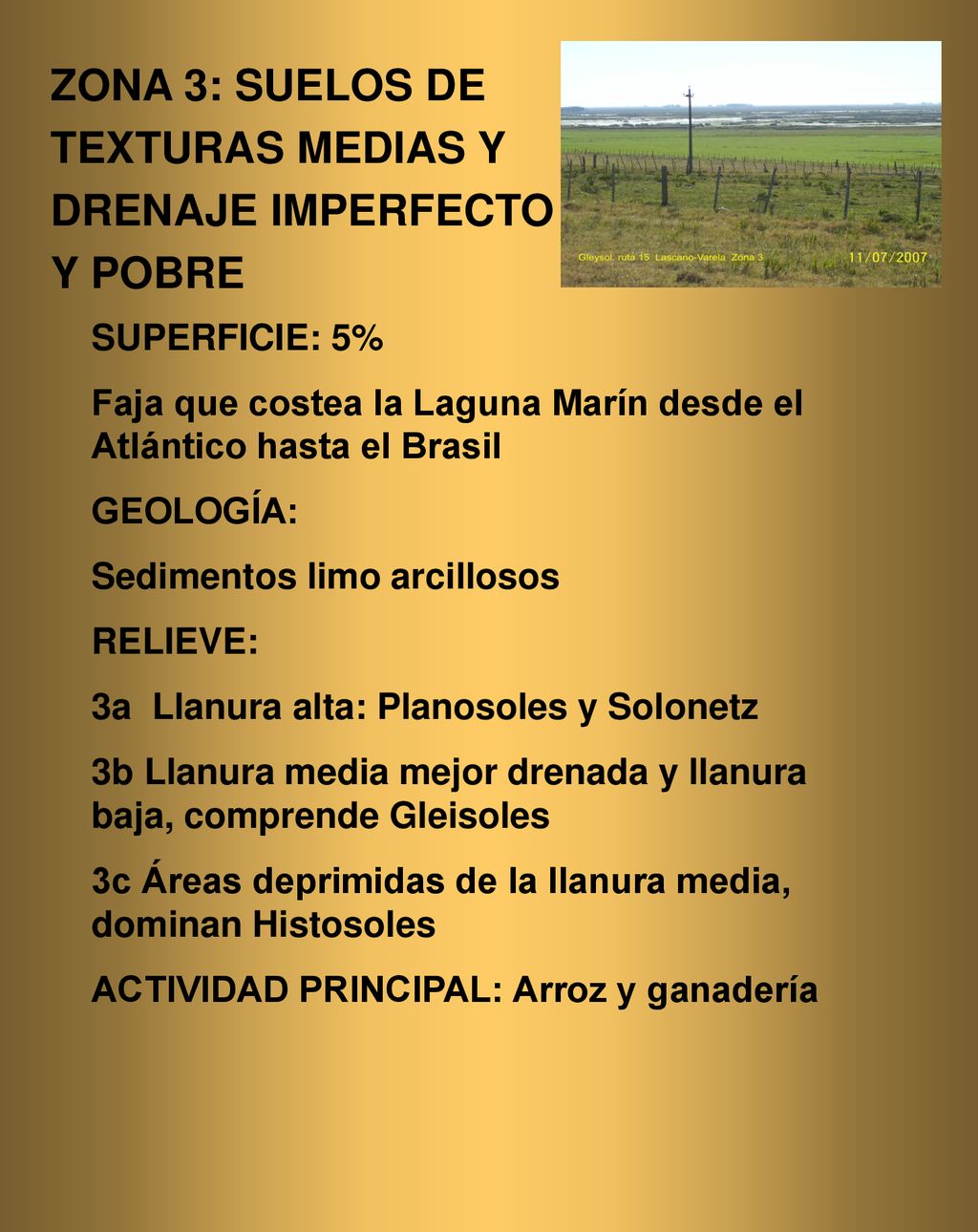 ZONA 3: SUELOS DE TEXTURAS MEDIAS Y DRENAJE IMPERFECTO Y POBRE
