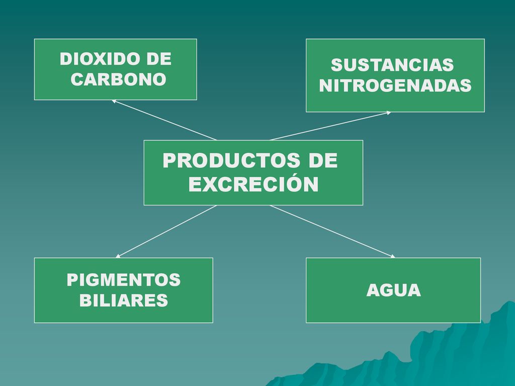 PRODUCTOS DE EXCRECIÓN DIOXIDO DE SUSTANCIAS CARBONO NITROGENADAS