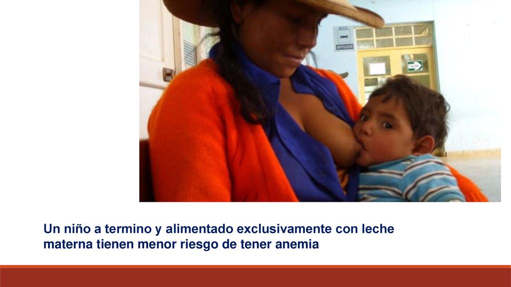 Un niño a termino y alimentado exclusivamente con leche materna tienen menor riesgo de tener anemia