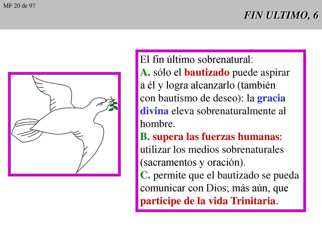 El fin último sobrenatural: A. sólo el bautizado puede aspirar