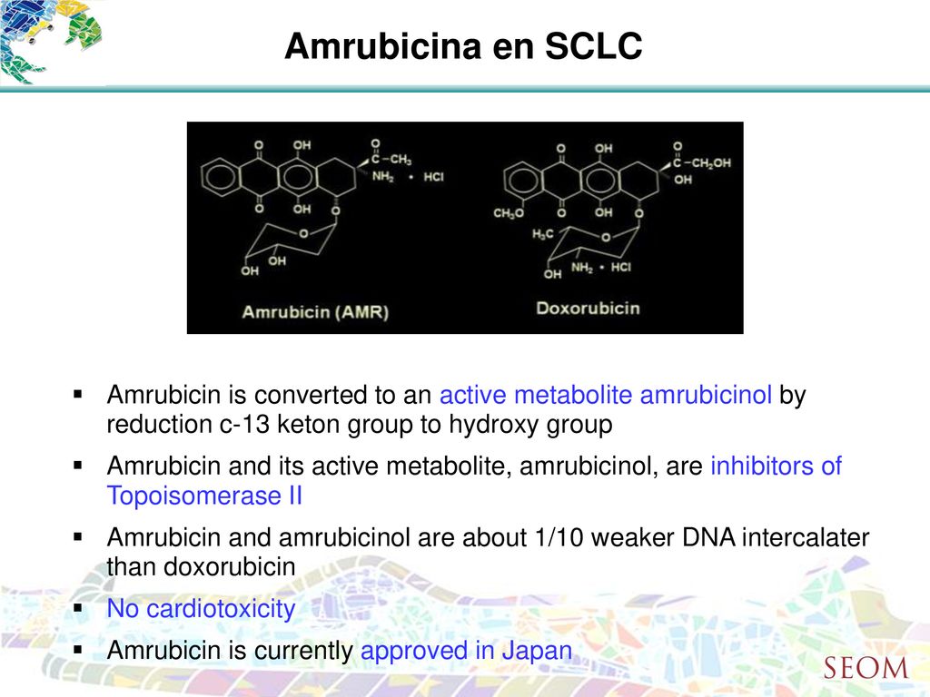 Amrubicina en SCLC Amrubicin is converted to an active metabolite amrubicinol by reduction c-13 keton group to hydroxy group.