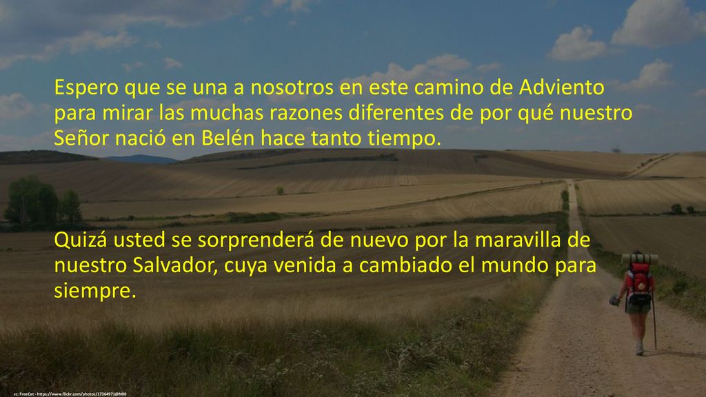 Espero que se una a nosotros en este camino de Adviento para mirar las muchas razones diferentes de por qué nuestro Señor nació en Belén hace tanto tiempo.