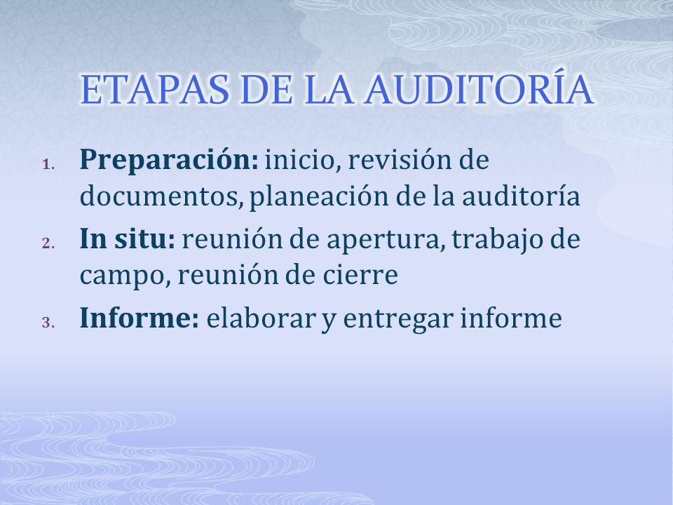 ETAPAS DE LA AUDITORÍA Preparación: inicio, revisión de documentos, planeación de la auditoría.