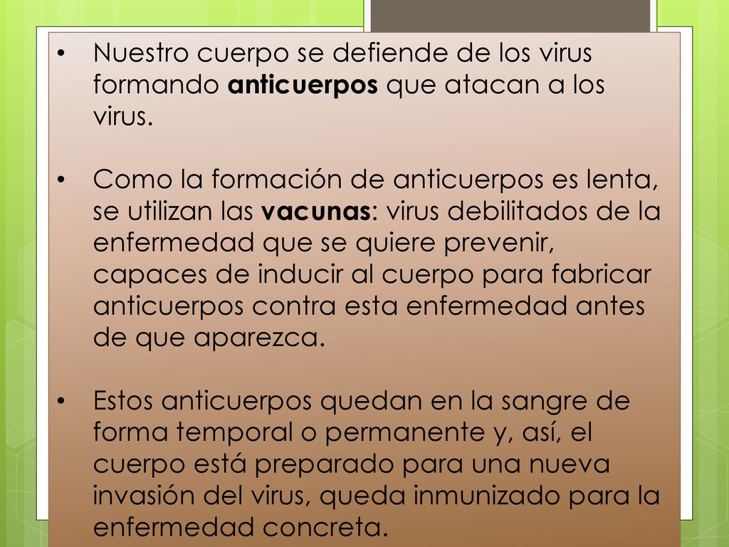 Nuestro cuerpo se defiende de los virus formando anticuerpos que atacan a los virus.