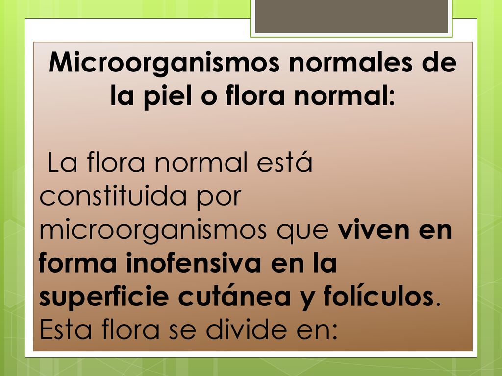 Microorganismos normales de la piel o flora normal: