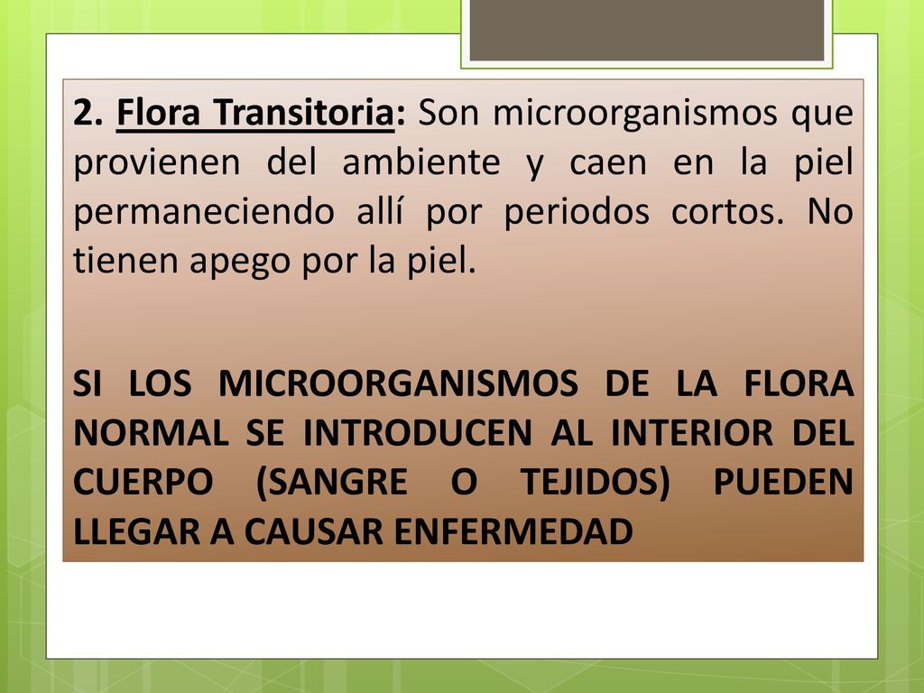2. Flora Transitoria: Son microorganismos que provienen del ambiente y caen en la piel permaneciendo allí por periodos cortos. No tienen apego por la piel.