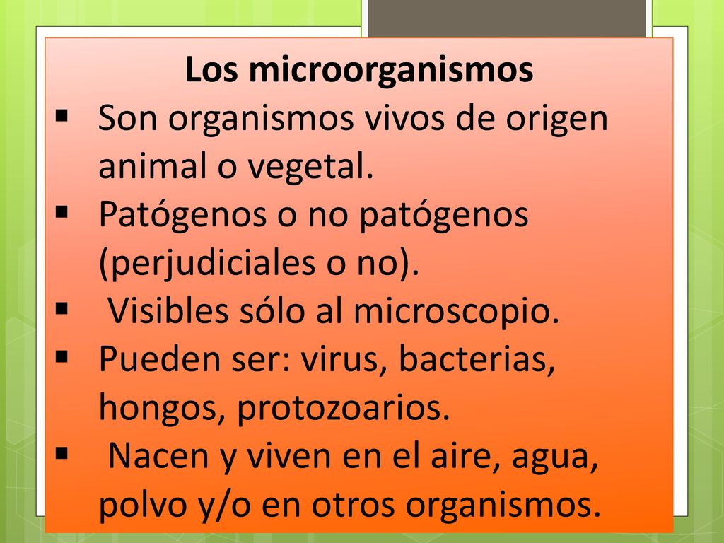 Los microorganismos Son organismos vivos de origen animal o vegetal. Patógenos o no patógenos (perjudiciales o no).