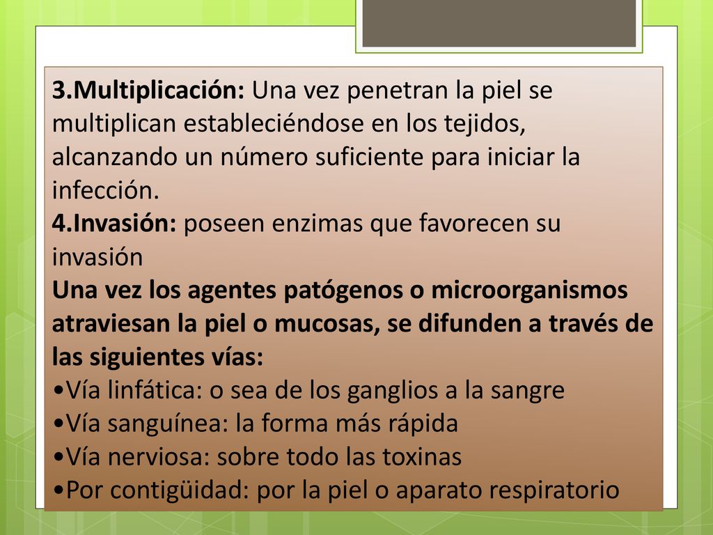 3.Multiplicación: Una vez penetran la piel se multiplican estableciéndose en los tejidos, alcanzando un número suficiente para iniciar la infección.