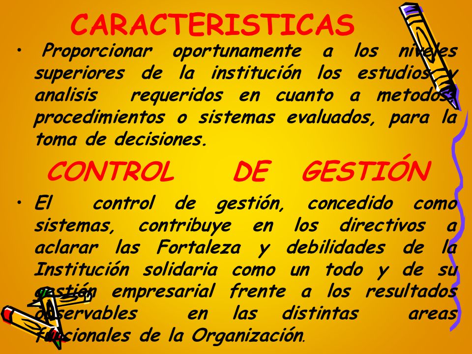 CARACTERISTICAS CONTROL DE GESTIÓN