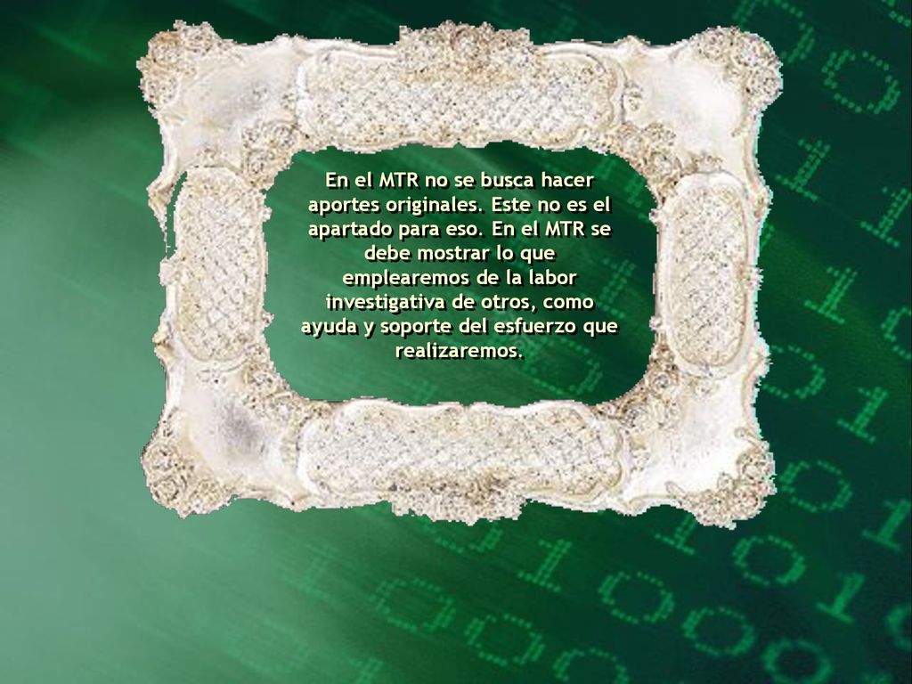 En el MTR no se busca hacer aportes originales