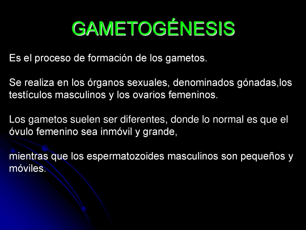 GAMETOGÉNESIS Es el proceso de formación de los gametos.