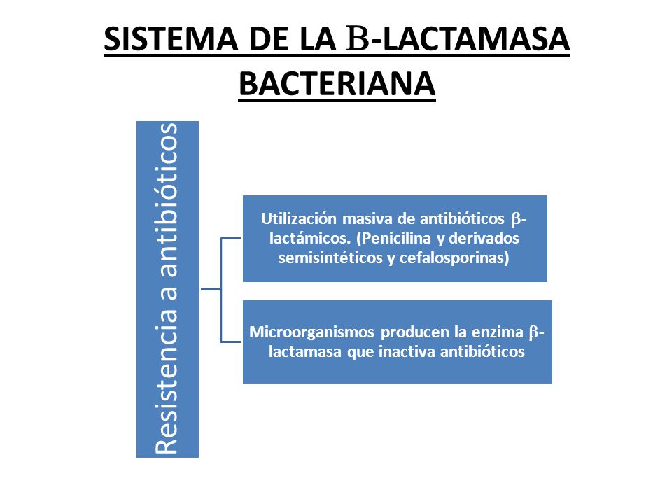 SISTEMA DE LA B-LACTAMASA BACTERIANA