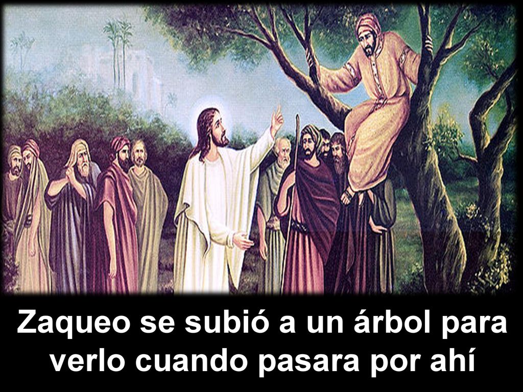 Zaqueo se subió a un árbol para verlo cuando pasara por ahí