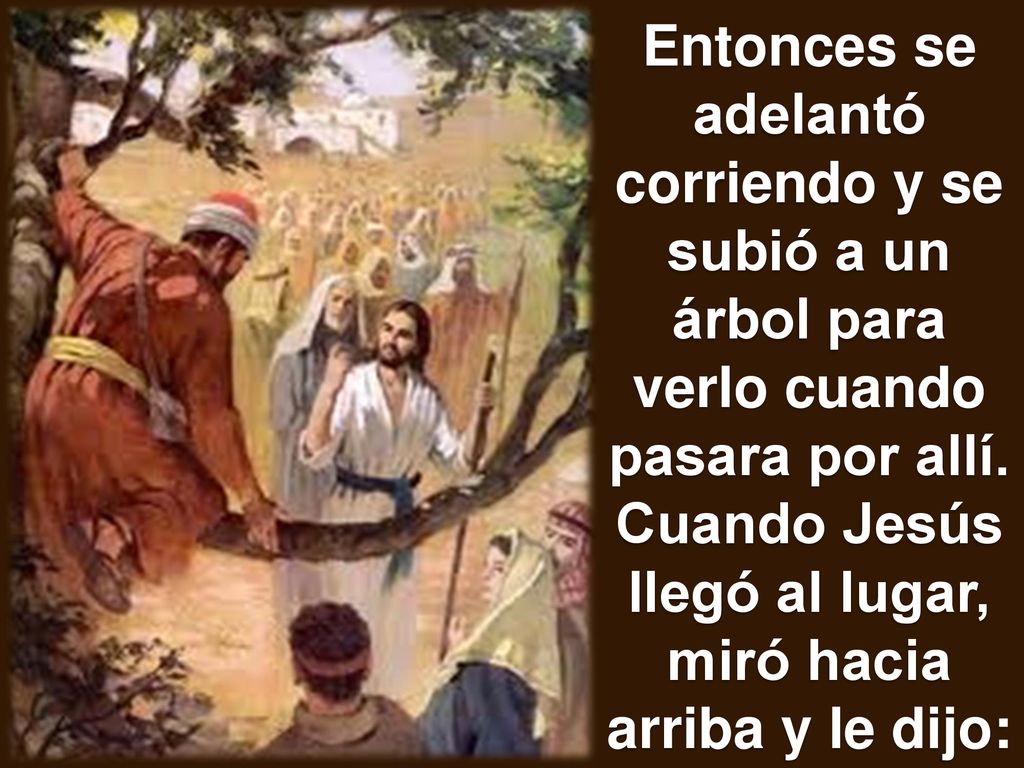 Entonces se adelantó corriendo y se subió a un árbol para verlo cuando pasara por allí.