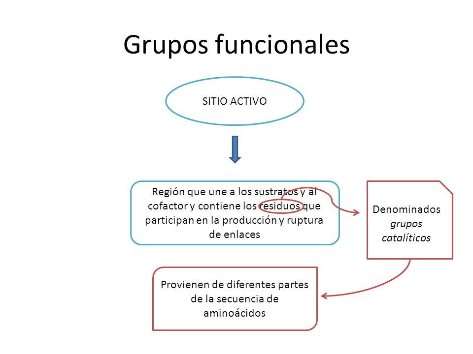 Grupos funcionales SITIO ACTIVO