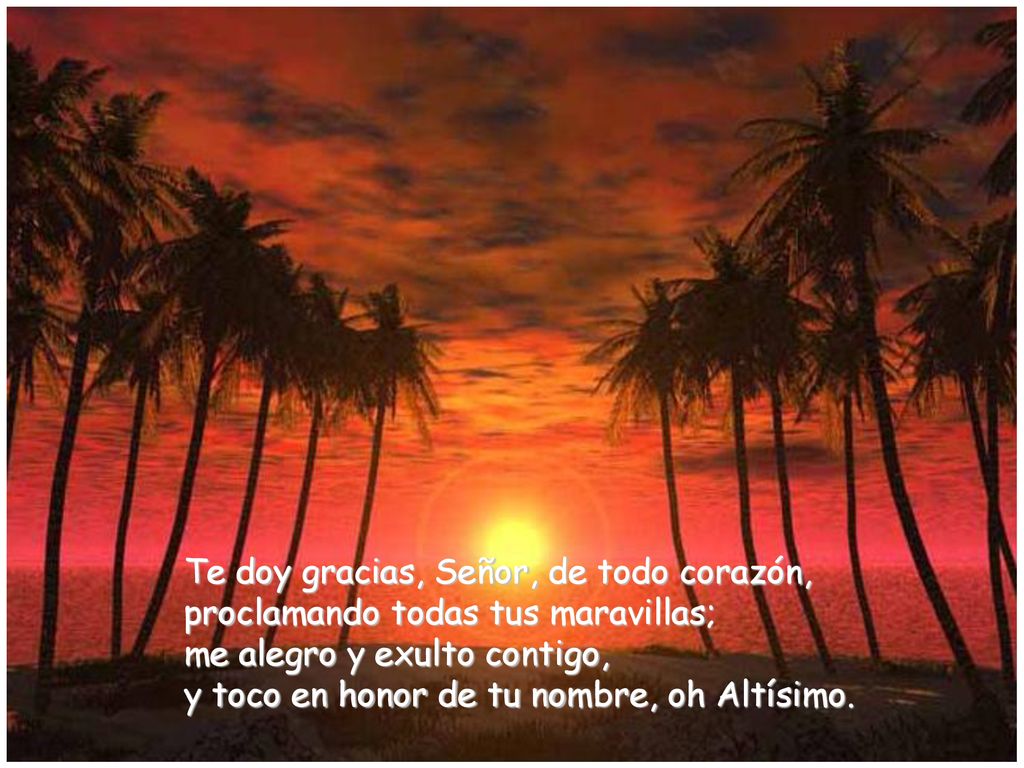 Te doy gracias, Señor, de todo corazón,