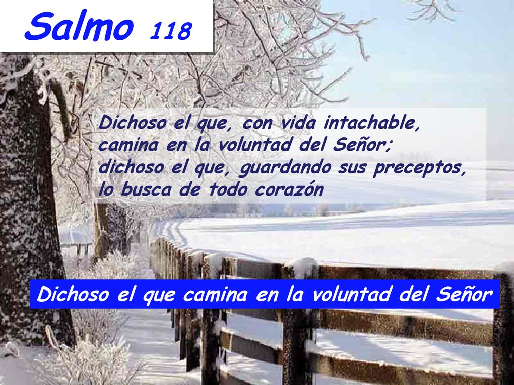 Salmo 118 Dichoso el que camina en la voluntad del Señor