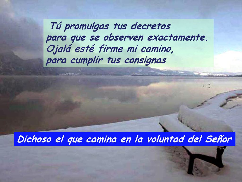 Dichoso el que camina en la voluntad del Señor