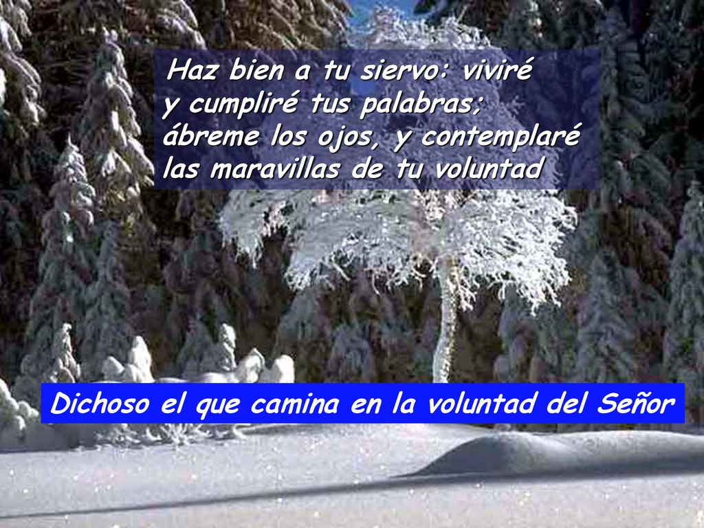 Dichoso el que camina en la voluntad del Señor