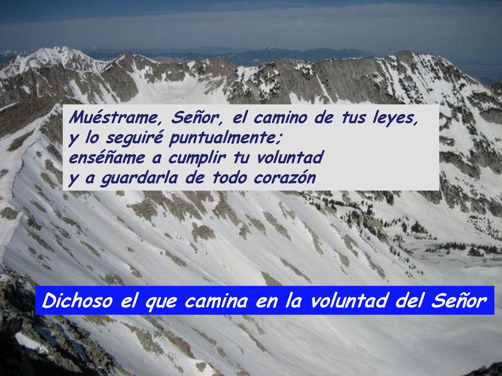 Dichoso el que camina en la voluntad del Señor