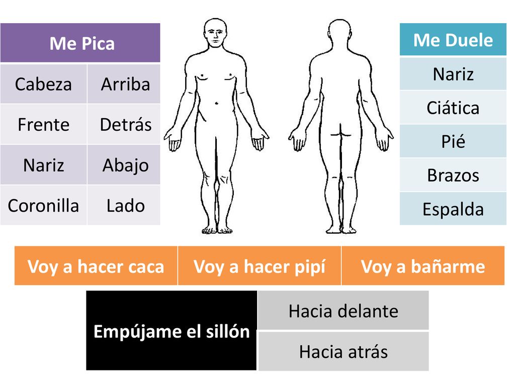 Me Pica Cabeza. Arriba. Frente. Detrás. Nariz. Abajo. Coronilla. Lado. Me Duele. Nariz. Ciática.