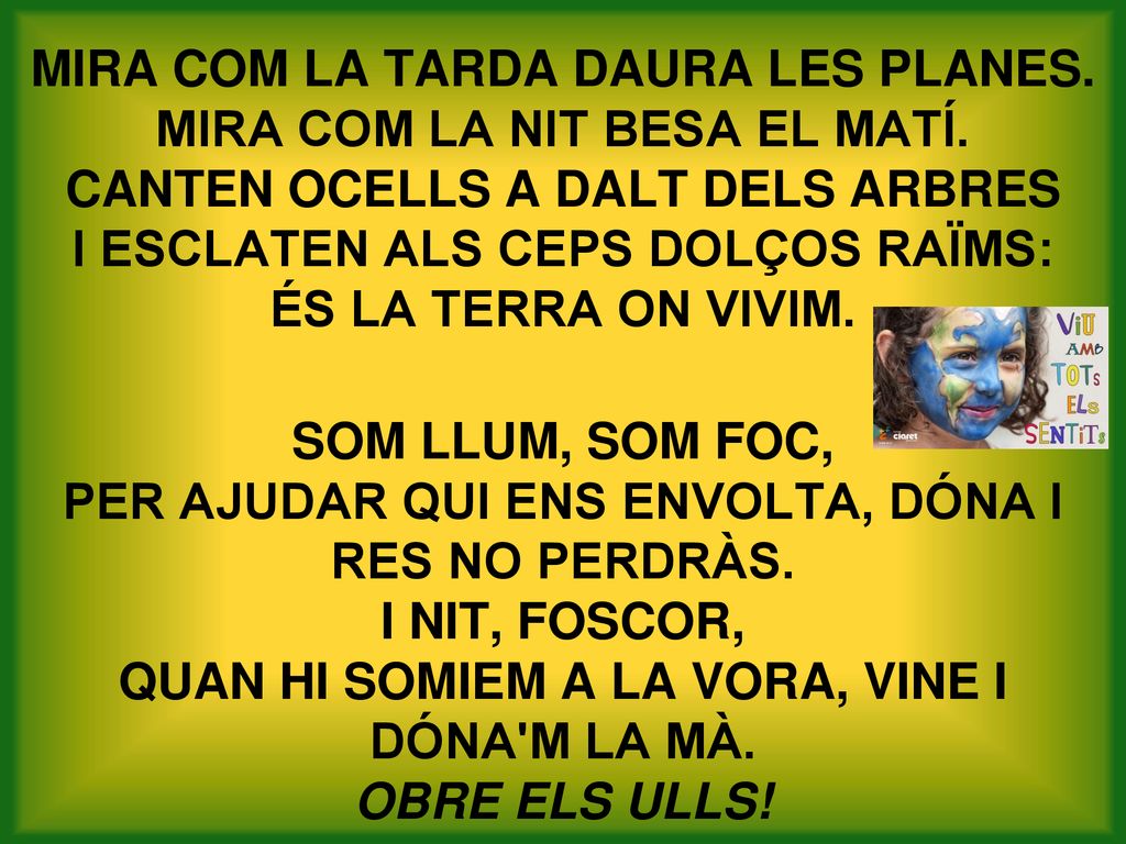 MIRA COM LA TARDA DAURA LES PLANES. MIRA COM LA NIT BESA EL MATÍ