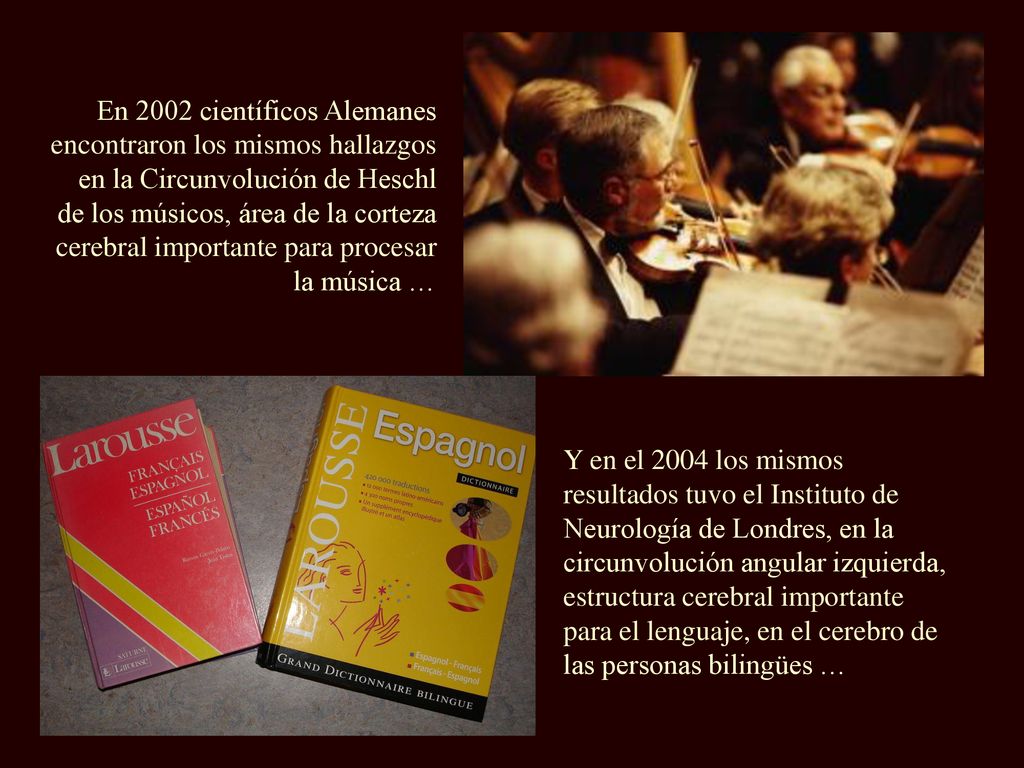 En 2002 científicos Alemanes encontraron los mismos hallazgos en la Circunvolución de Heschl de los músicos, área de la corteza cerebral importante para procesar la música …