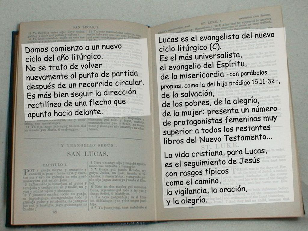 Lucas es el evangelista del nuevo ciclo litúrgico (C)