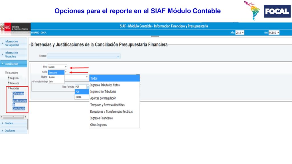 Opciones para el reporte en el SIAF Módulo Contable