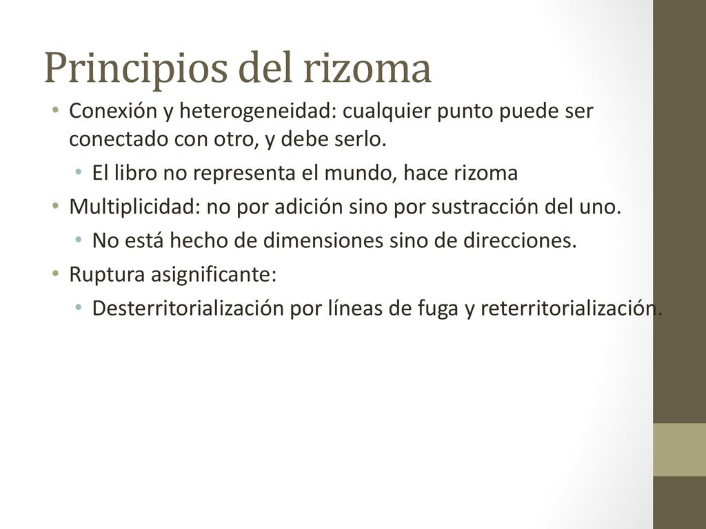 Principios del rizoma Conexión y heterogeneidad: cualquier punto puede ser conectado con otro, y debe serlo.