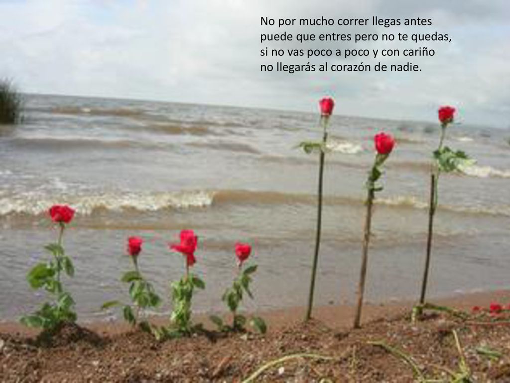 No por mucho correr llegas antes puede que entres pero no te quedas, si no vas poco a poco y con cariño no llegarás al corazón de nadie.