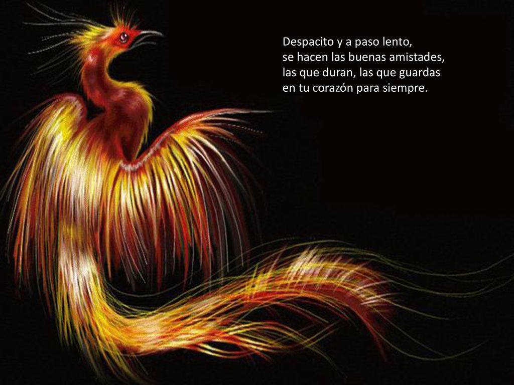 Despacito y a paso lento, se hacen las buenas amistades, las que duran, las que guardas en tu corazón para siempre.