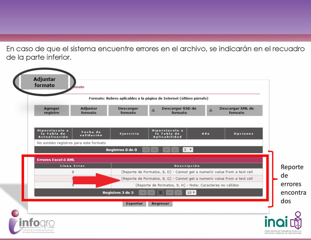 En caso de que el sistema encuentre errores en el archivo, se indicarán en el recuadro de la parte inferior.