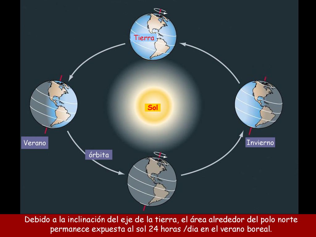 permanece expuesta al sol 24 horas /dia en el verano boreal.