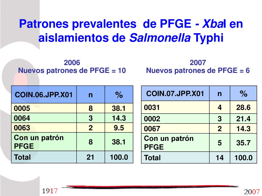 Patrones prevalentes de PFGE - XbaI en aislamientos de Salmonella Typhi