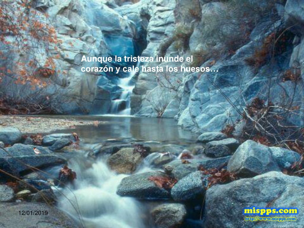 Aunque la tristeza inunde el corazón y cale hasta los huesos…