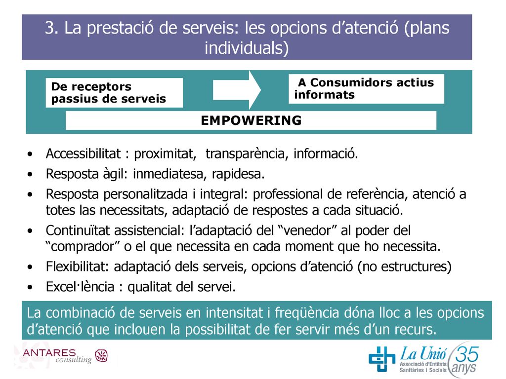 3. La prestació de serveis: les opcions d’atenció (plans individuals)