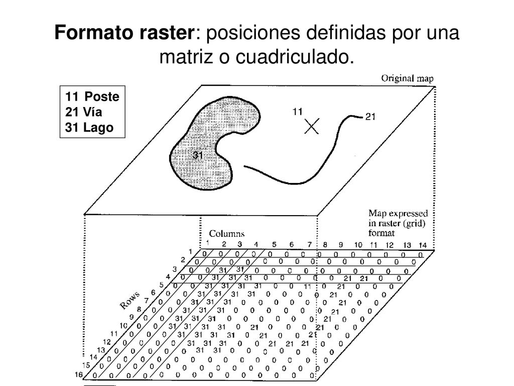 Formato raster: posiciones definidas por una matriz o cuadriculado.
