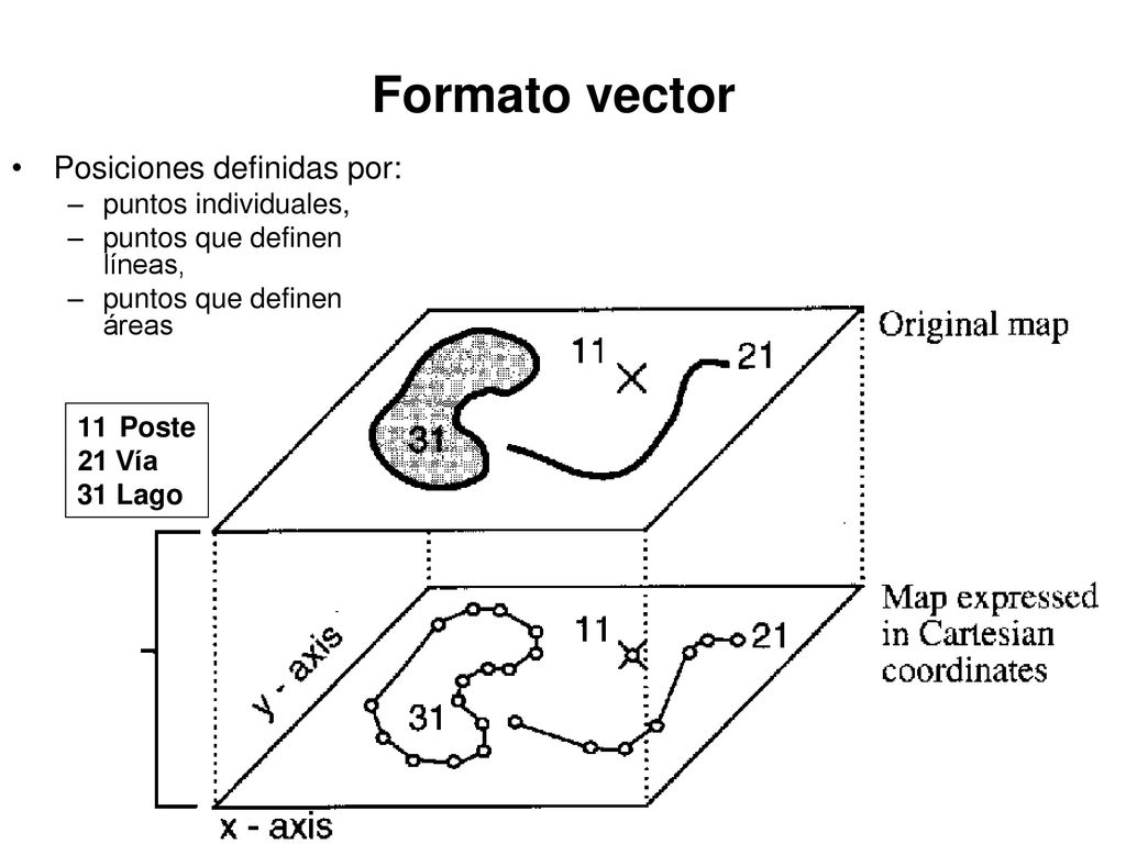 Formato vector Posiciones definidas por: puntos individuales,