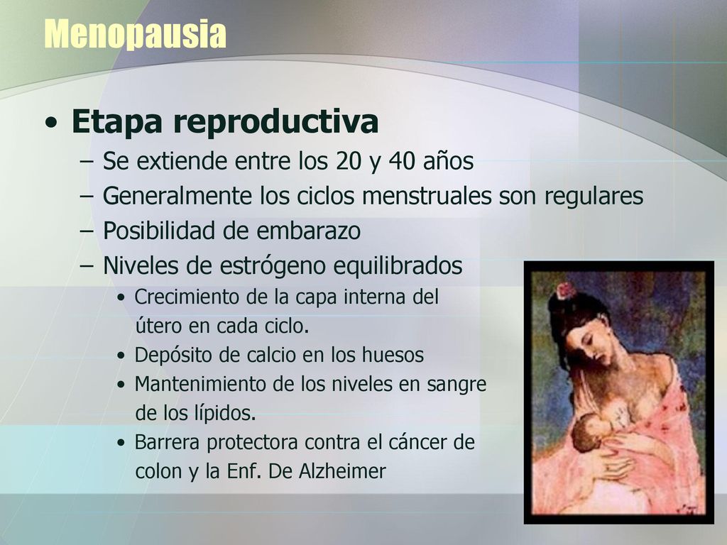 Menopausia Etapa reproductiva Se extiende entre los 20 y 40 años