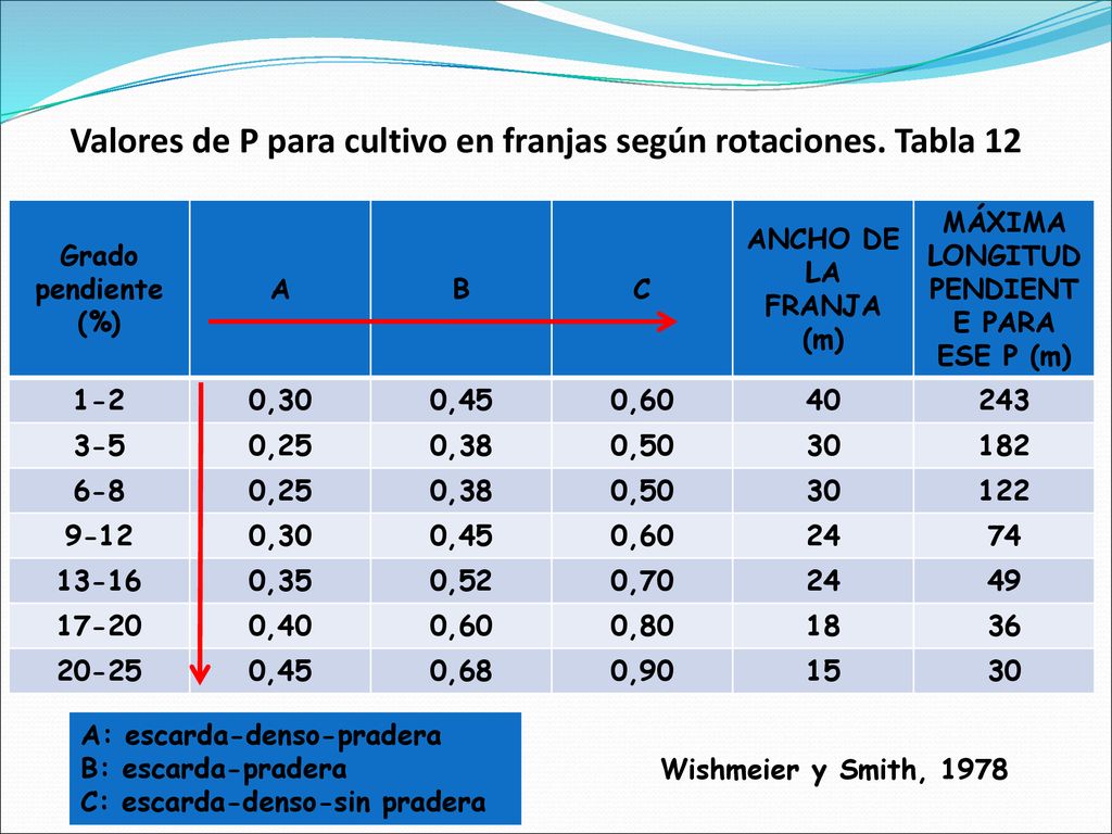 Valores de P para cultivo en franjas según rotaciones. Tabla 12