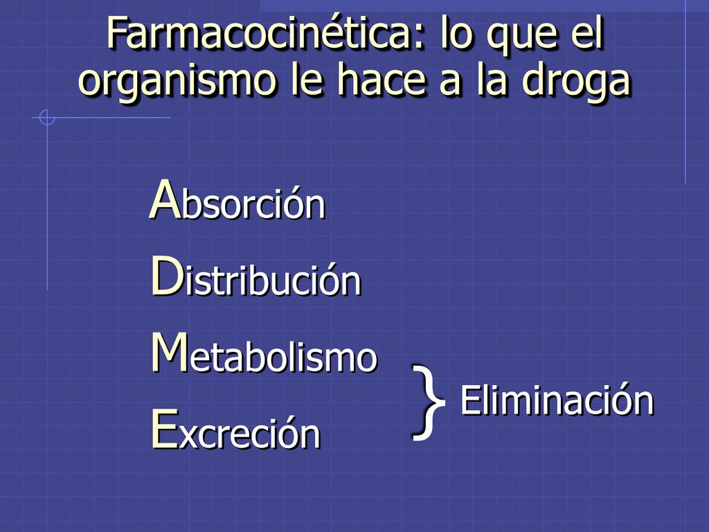 Farmacocinética: lo que el organismo le hace a la droga